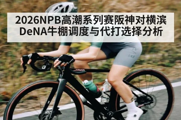 2026NPB高潮系列赛阪神对横滨DeNA牛棚调度与代打选择分析